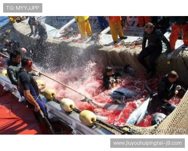 血流成河：血腥犯罪案件的细节揭秘与反思